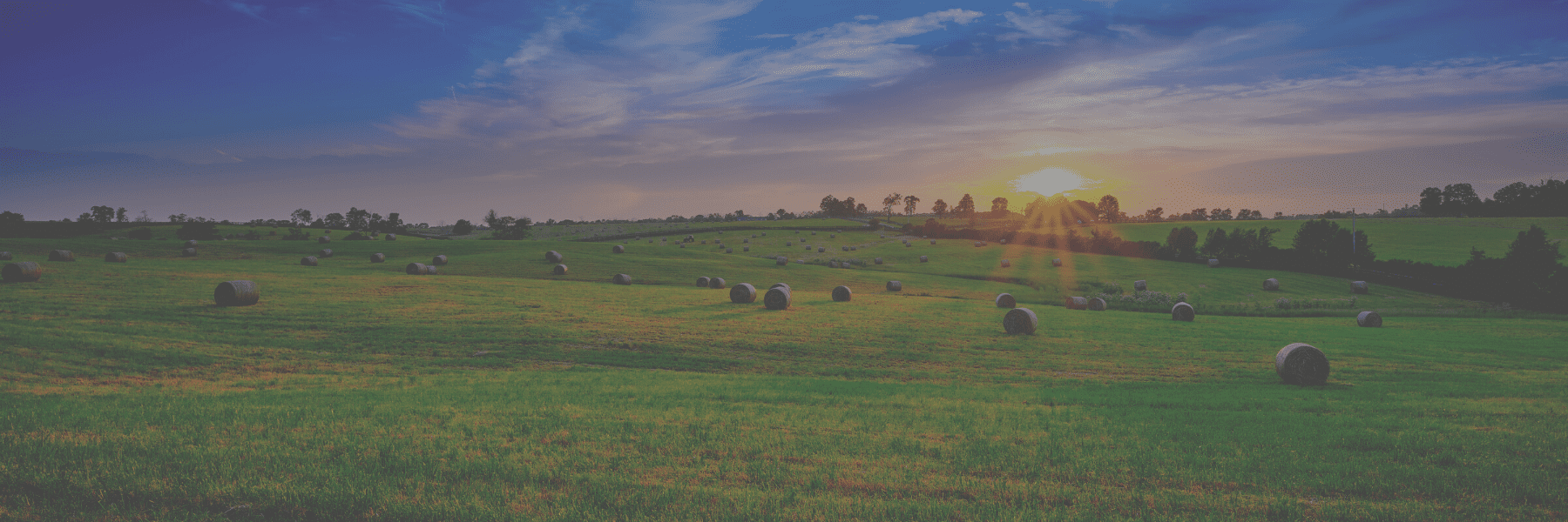 Kentucky Landscape